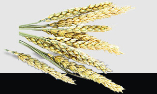 腾博会官网 - 诚信为本,专业服务!