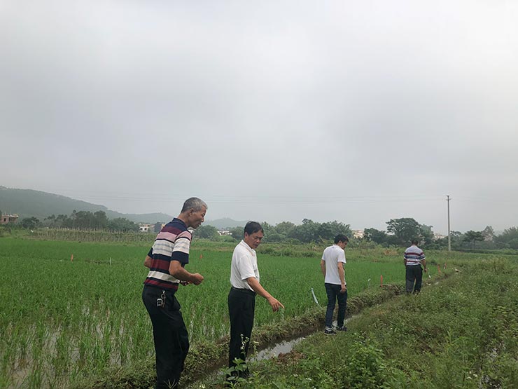 腾博会官网 - 诚信为本,专业服务!