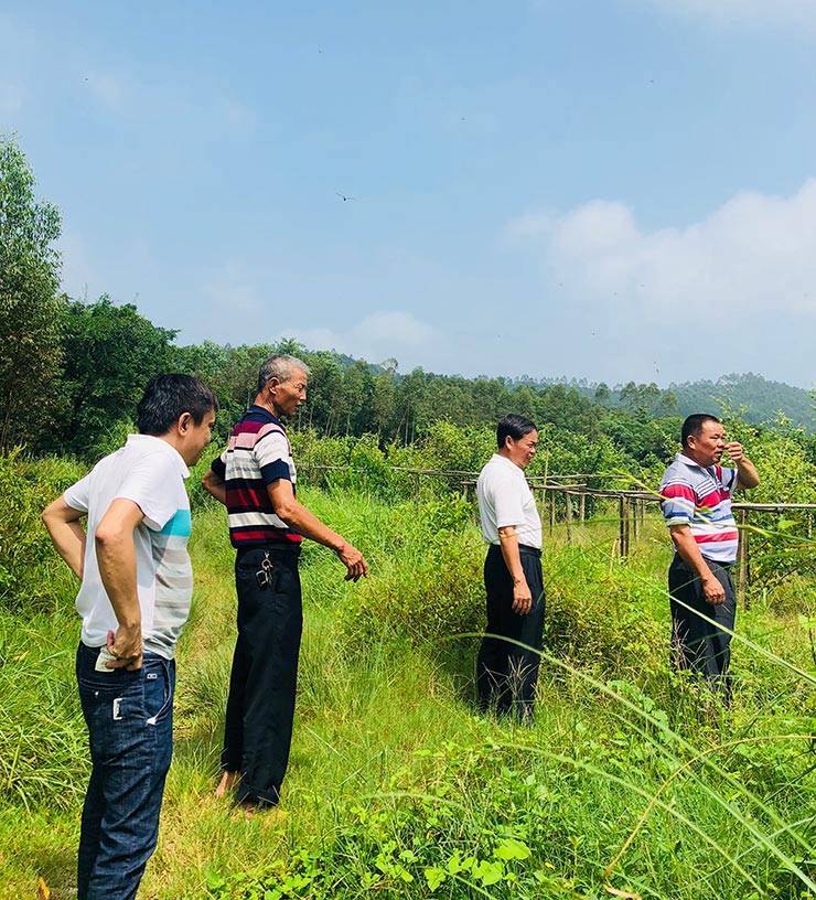 腾博会官网 - 诚信为本,专业服务!