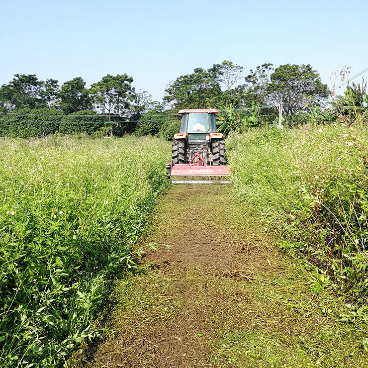 腾博会官网 - 诚信为本,专业服务!