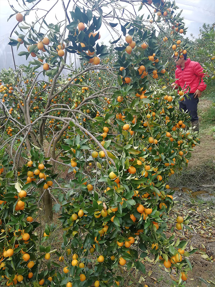 腾博会官网 - 诚信为本,专业服务!