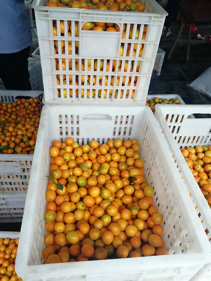 腾博会官网 - 诚信为本,专业服务!