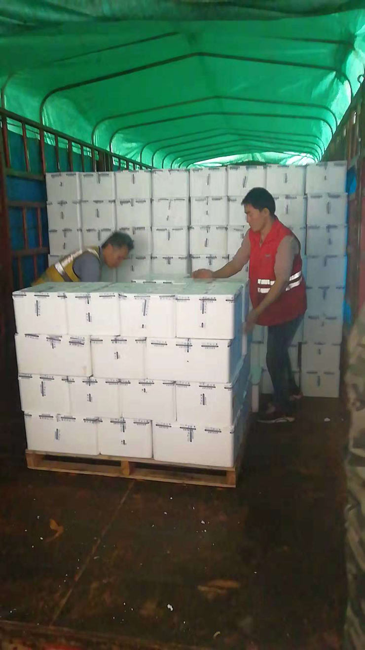 腾博会官网 - 诚信为本,专业服务!