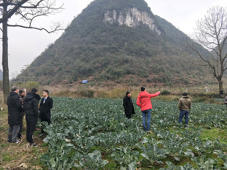 腾博会官网 - 诚信为本,专业服务!