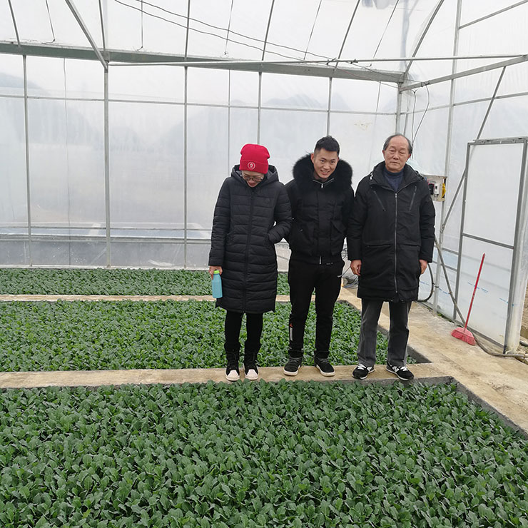 腾博会官网 - 诚信为本,专业服务!