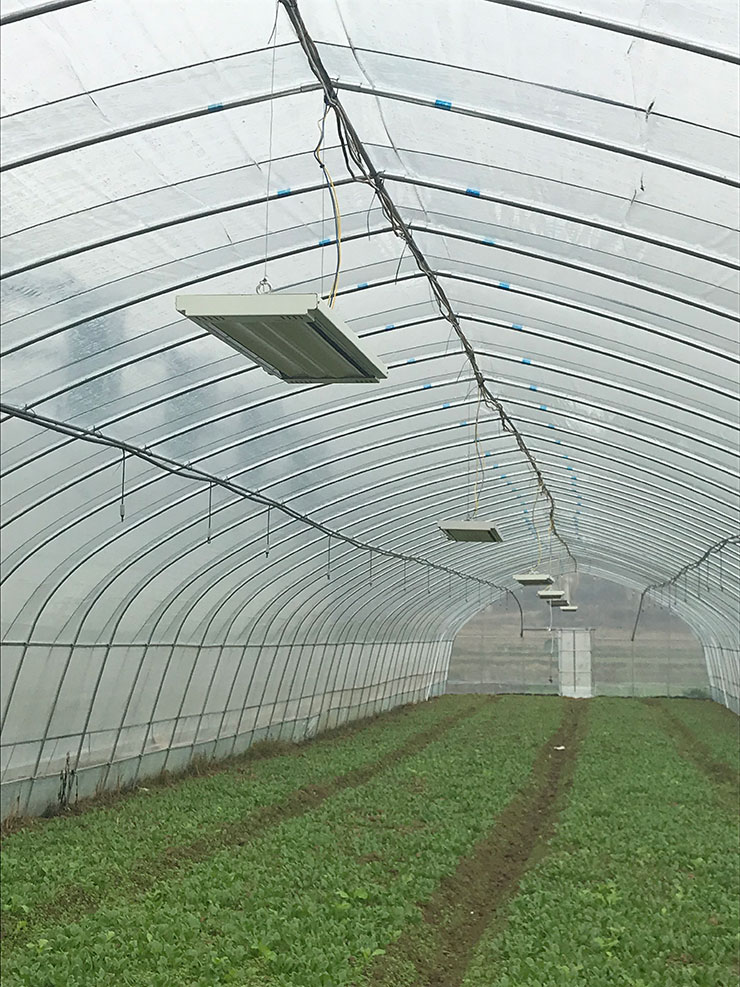 腾博会官网 - 诚信为本,专业服务!