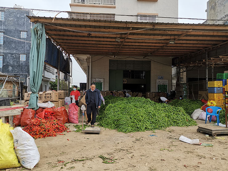 腾博会官网 - 诚信为本,专业服务!