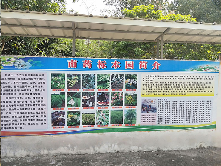 腾博会官网 - 诚信为本,专业服务!