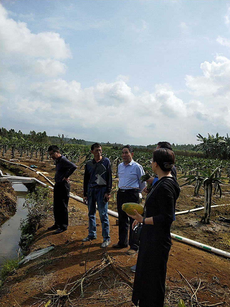 腾博会官网 - 诚信为本,专业服务!