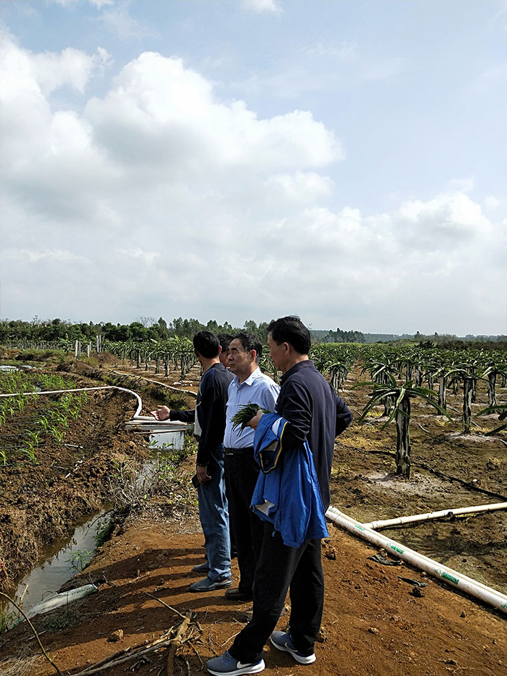 腾博会官网 - 诚信为本,专业服务!