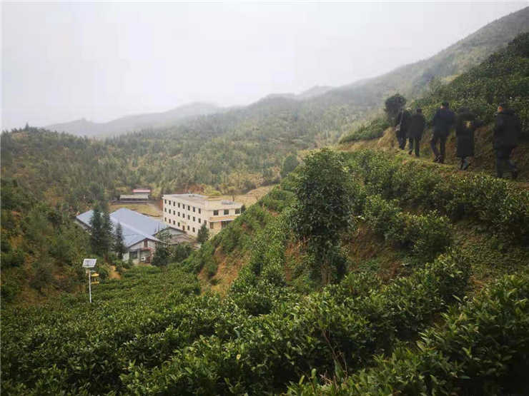 腾博会官网 - 诚信为本,专业服务!