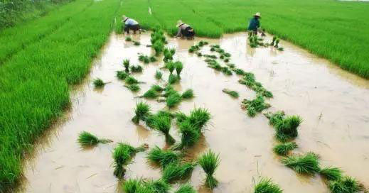 腾博会官网 - 诚信为本,专业服务!