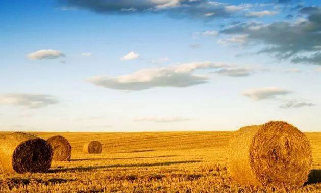 腾博会官网 - 诚信为本,专业服务!