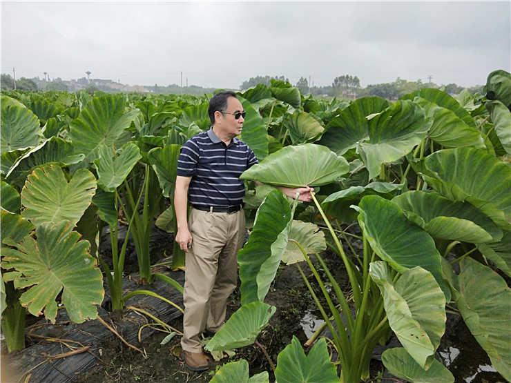 腾博会官网 - 诚信为本,专业服务!