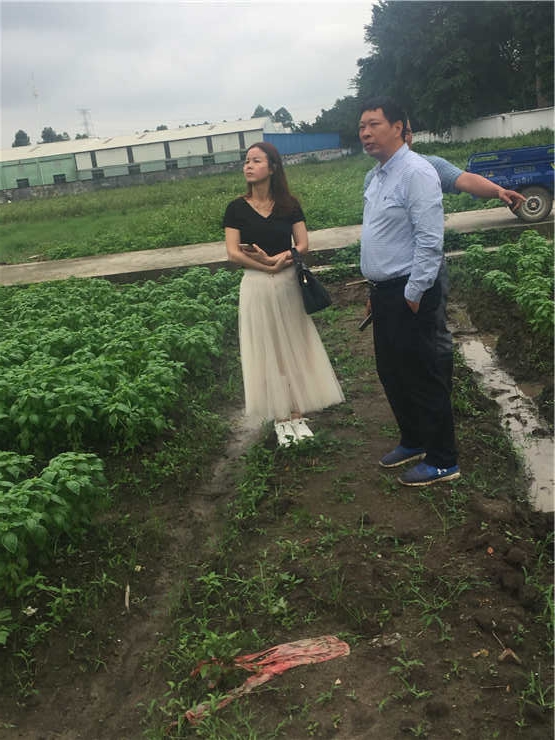 腾博会官网 - 诚信为本,专业服务!