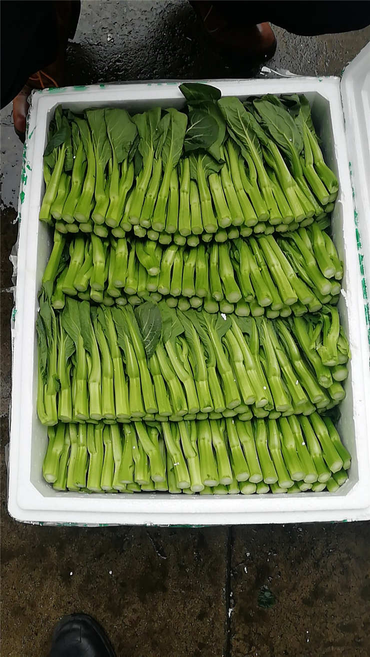 腾博会官网 - 诚信为本,专业服务!