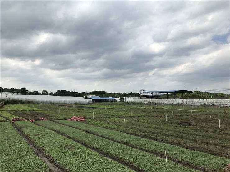 腾博会官网 - 诚信为本,专业服务!