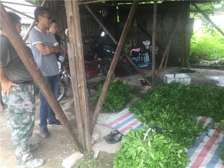 腾博会官网 - 诚信为本,专业服务!