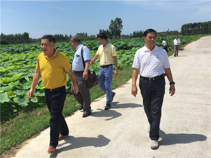 腾博会官网 - 诚信为本,专业服务!