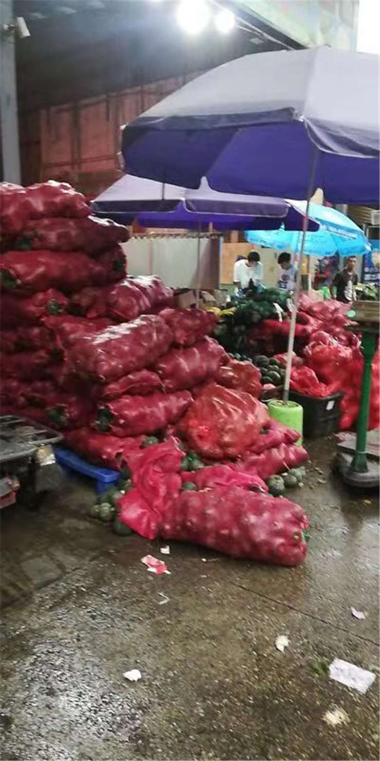 腾博会官网 - 诚信为本,专业服务!