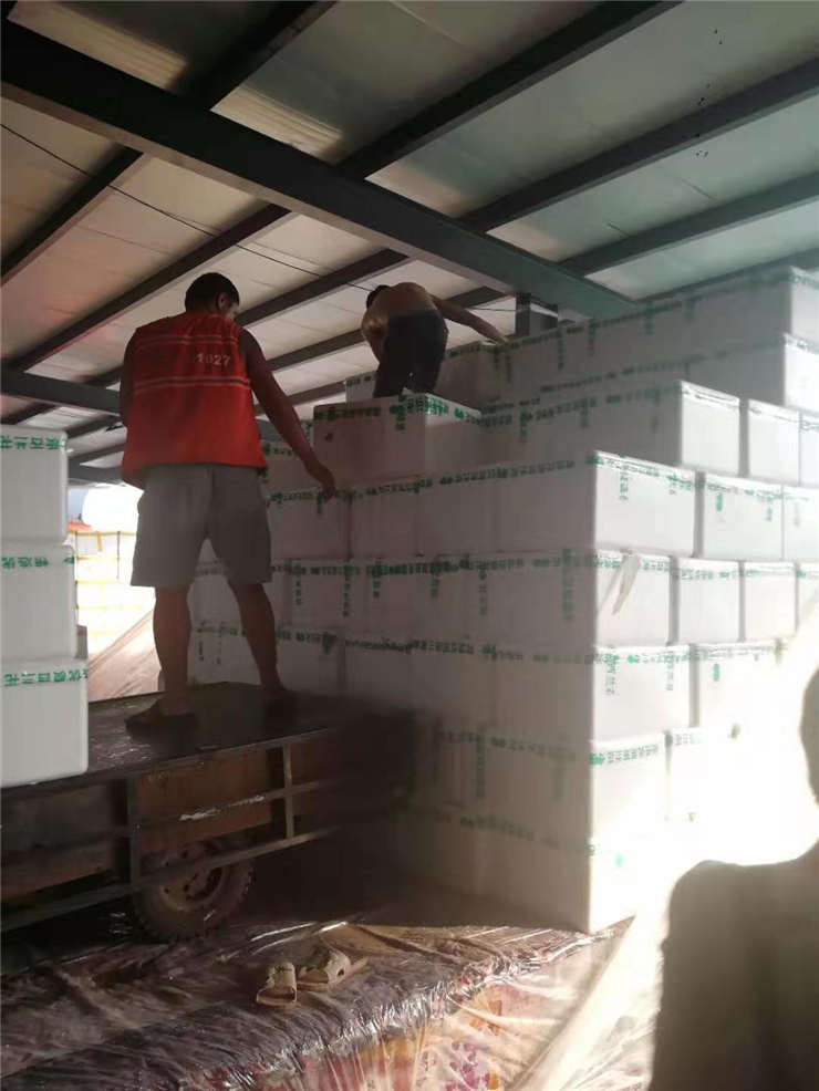 腾博会官网 - 诚信为本,专业服务!