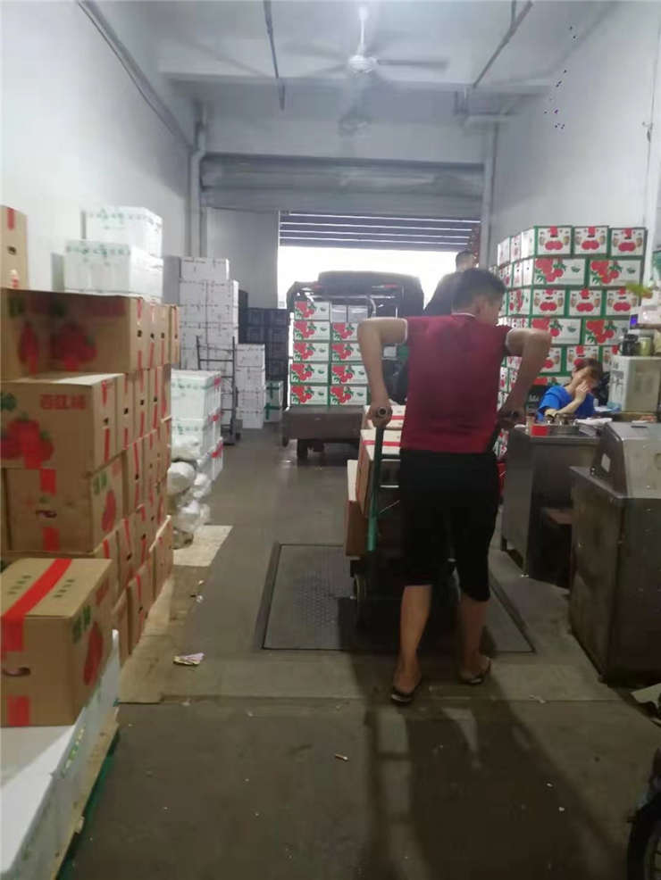 腾博会官网 - 诚信为本,专业服务!