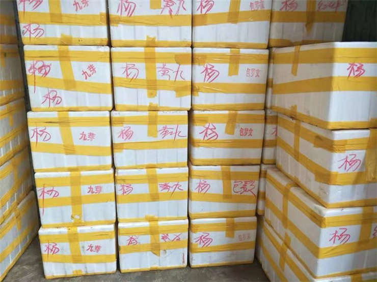 腾博会官网 - 诚信为本,专业服务!