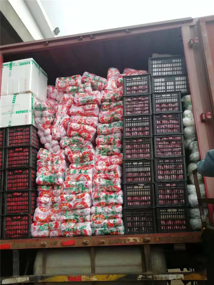 腾博会官网 - 诚信为本,专业服务!