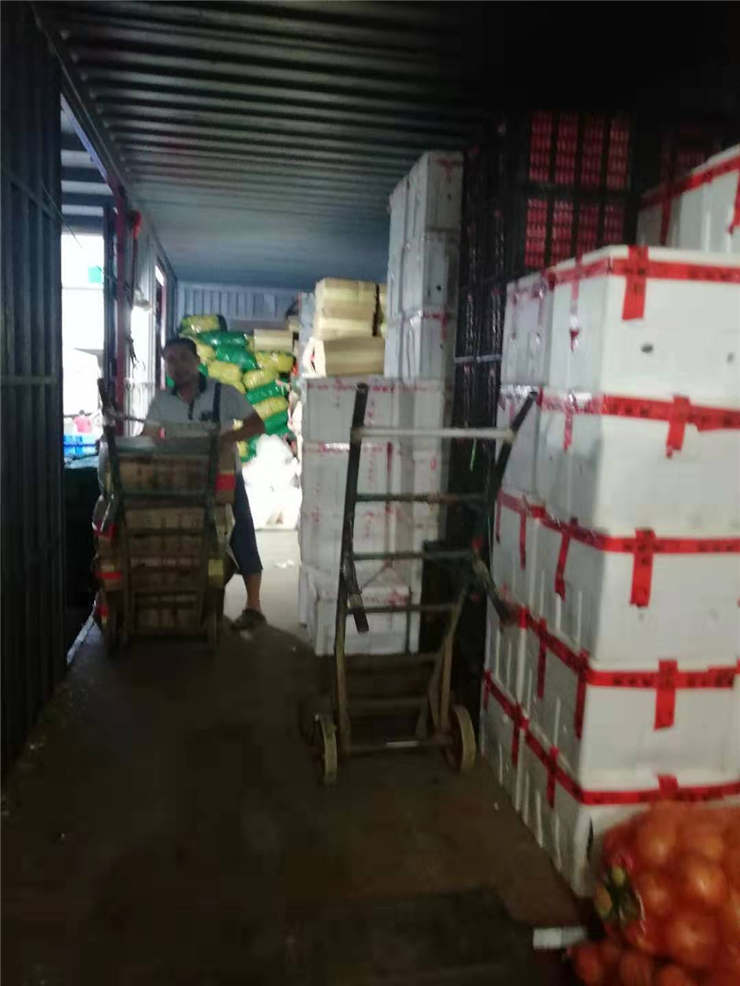 腾博会官网 - 诚信为本,专业服务!