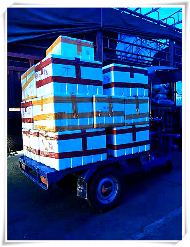 腾博会官网 - 诚信为本,专业服务!