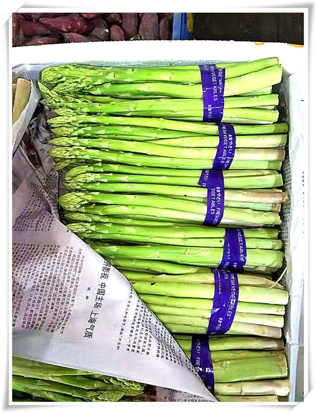 腾博会官网 - 诚信为本,专业服务!