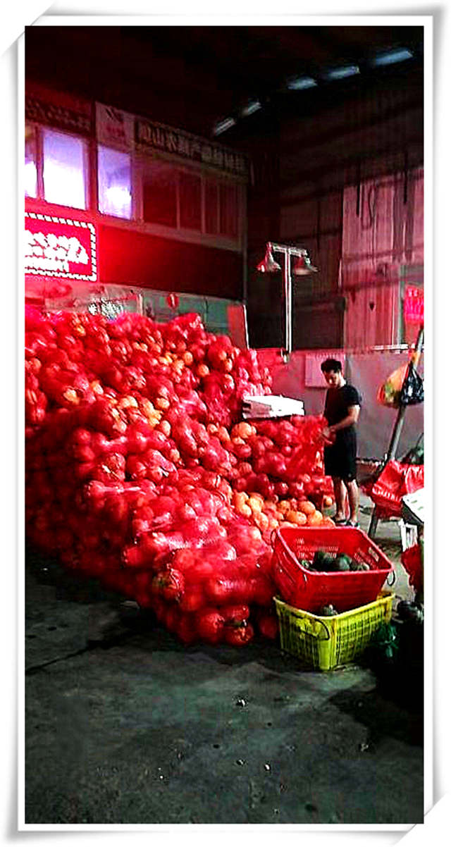 腾博会官网 - 诚信为本,专业服务!