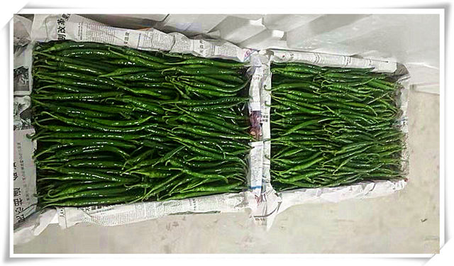 腾博会官网 - 诚信为本,专业服务!