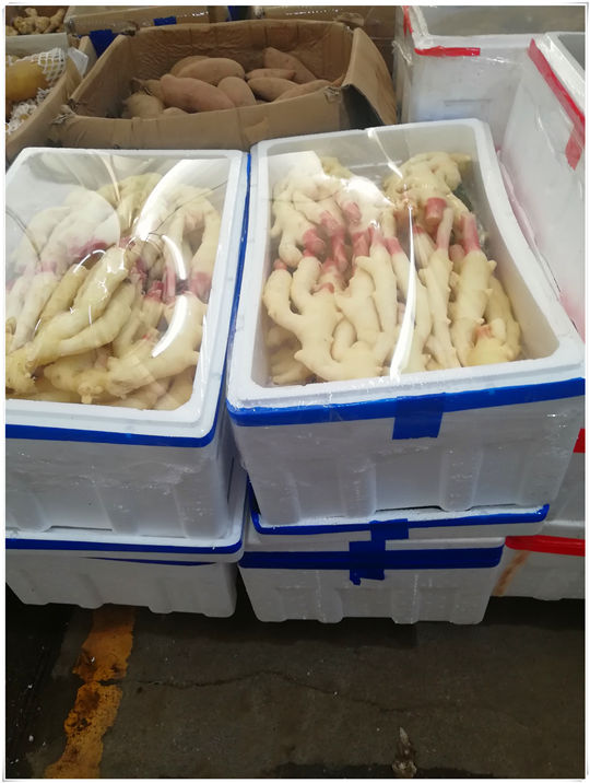 腾博会官网 - 诚信为本,专业服务!