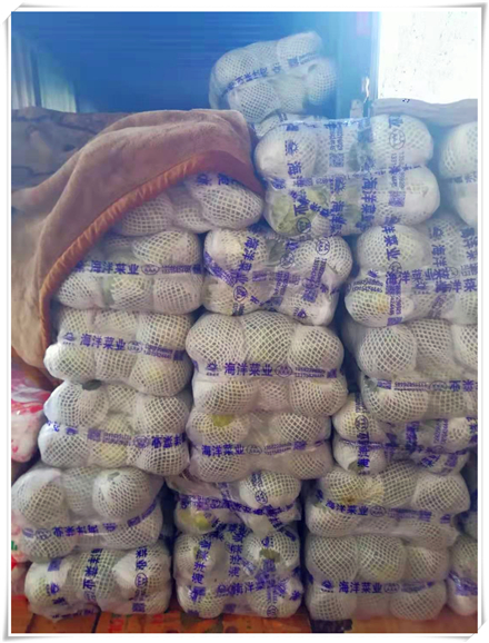 腾博会官网 - 诚信为本,专业服务!