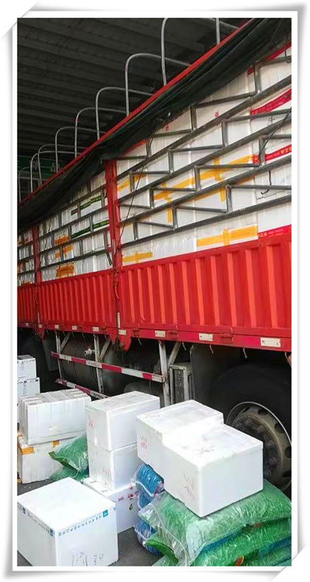 腾博会官网 - 诚信为本,专业服务!