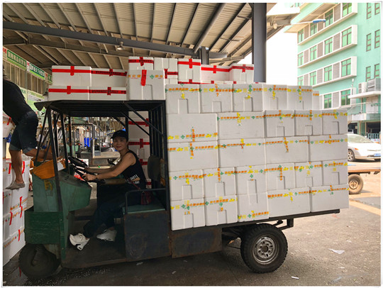 腾博会官网 - 诚信为本,专业服务!