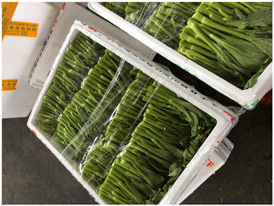 腾博会官网 - 诚信为本,专业服务!