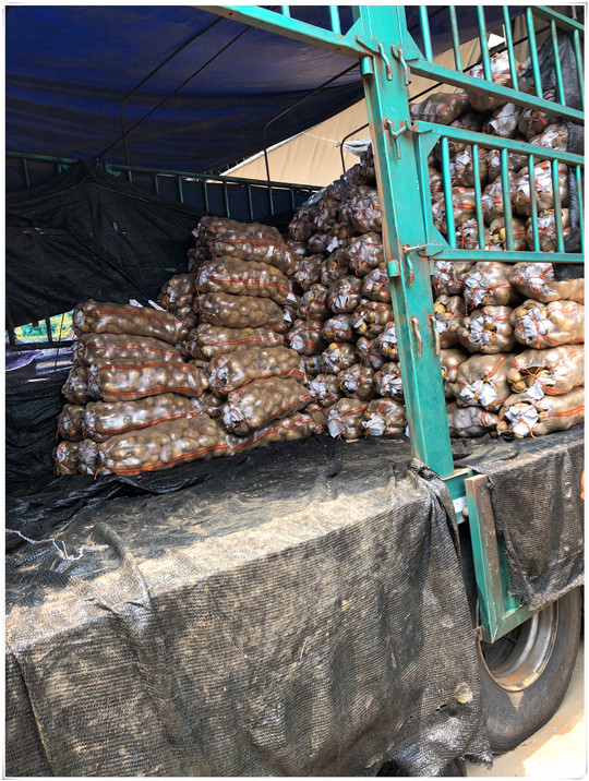 腾博会官网 - 诚信为本,专业服务!