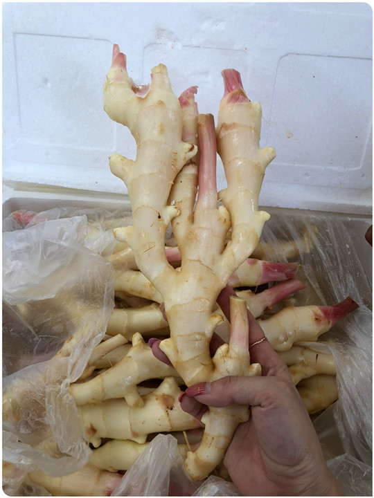 腾博会官网 - 诚信为本,专业服务!