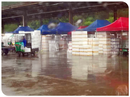 腾博会官网 - 诚信为本,专业服务!