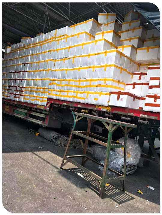 腾博会官网 - 诚信为本,专业服务!