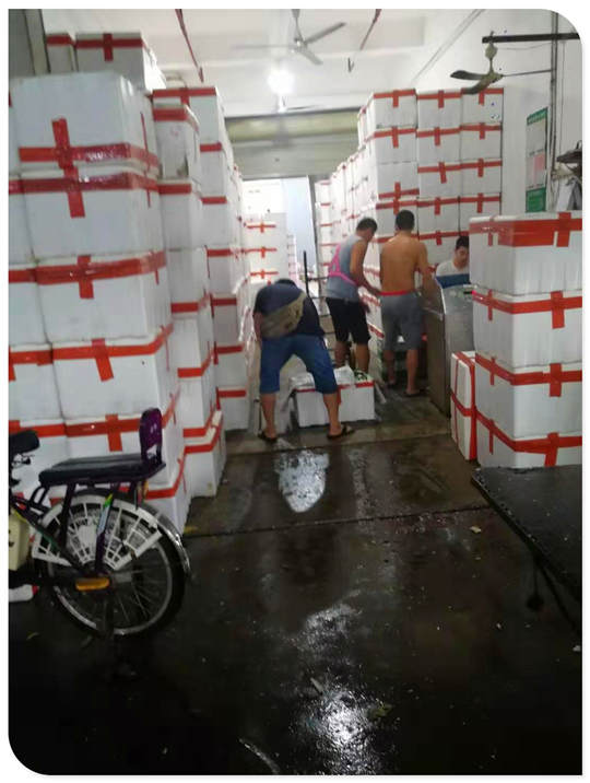 腾博会官网 - 诚信为本,专业服务!