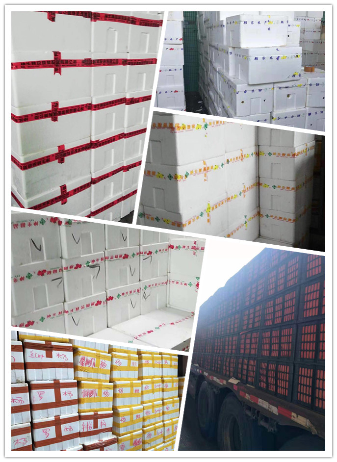 腾博会官网 - 诚信为本,专业服务!