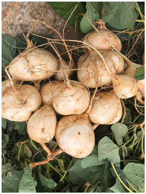 腾博会官网 - 诚信为本,专业服务!