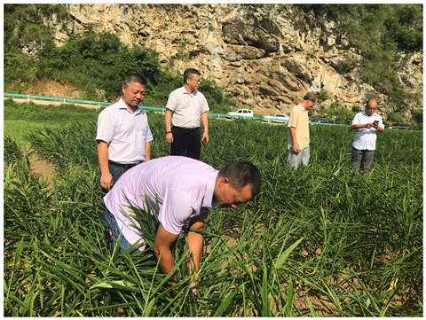 腾博会官网 - 诚信为本,专业服务!