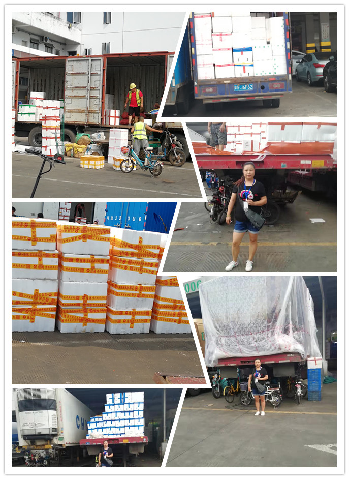 腾博会官网 - 诚信为本,专业服务!