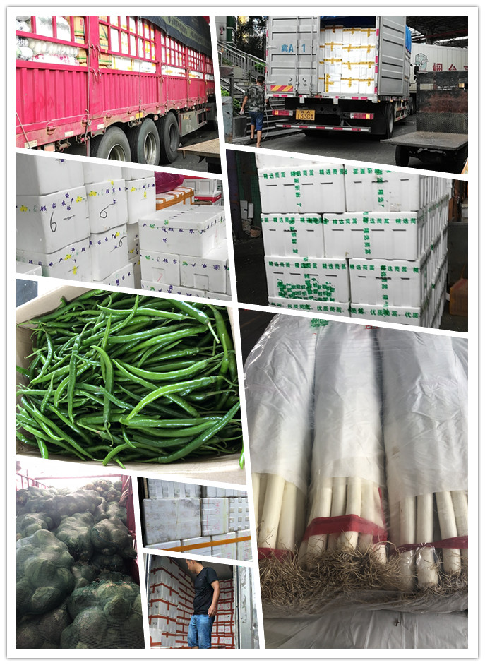 腾博会官网 - 诚信为本,专业服务!