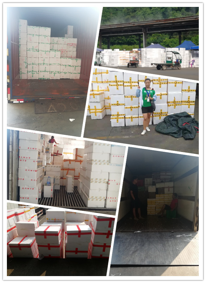 腾博会官网 - 诚信为本,专业服务!