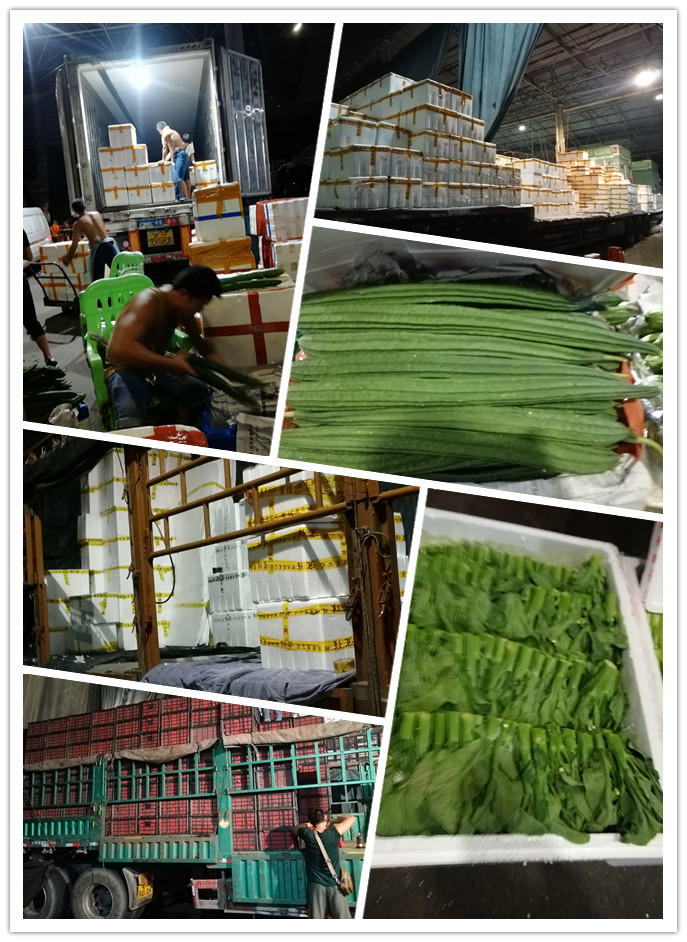 腾博会官网 - 诚信为本,专业服务!